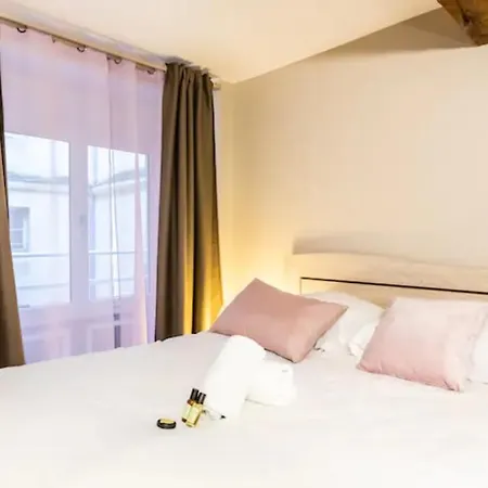 Apartment Superb In The Heart Of Bordeaux