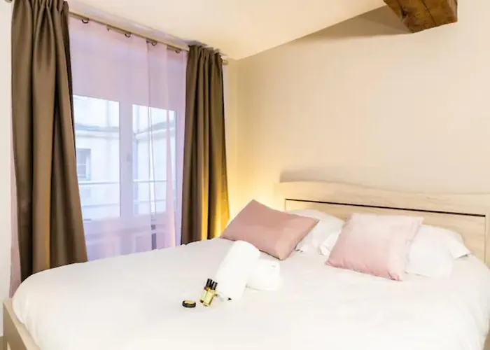 Apartment Superb In The Heart Of Bordeaux